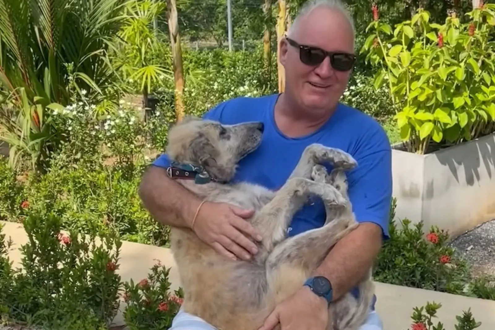 owner holding his dog