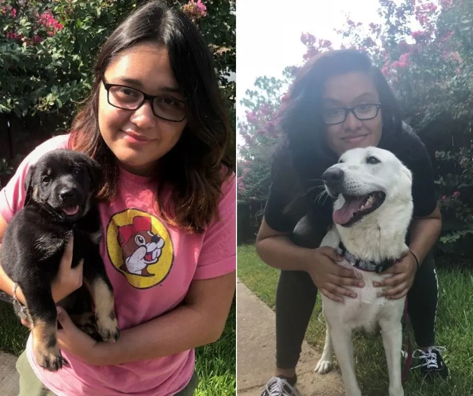 foto de una niña con un cachorro negro y un perro llamado janelle
