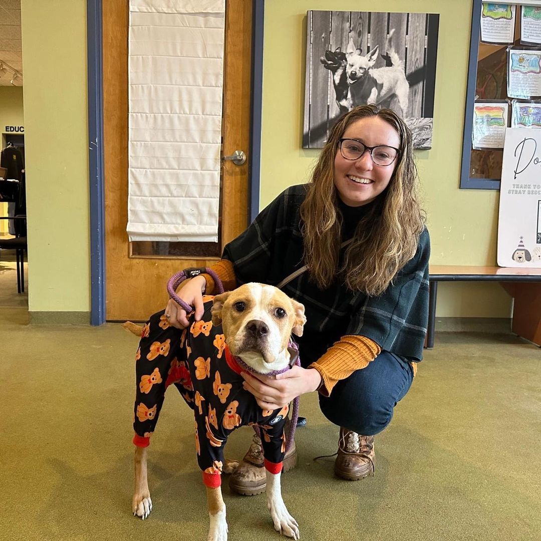 photo of dodie dog and her foster mom