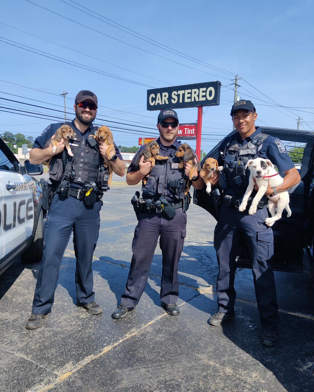 police officers holding the puppies