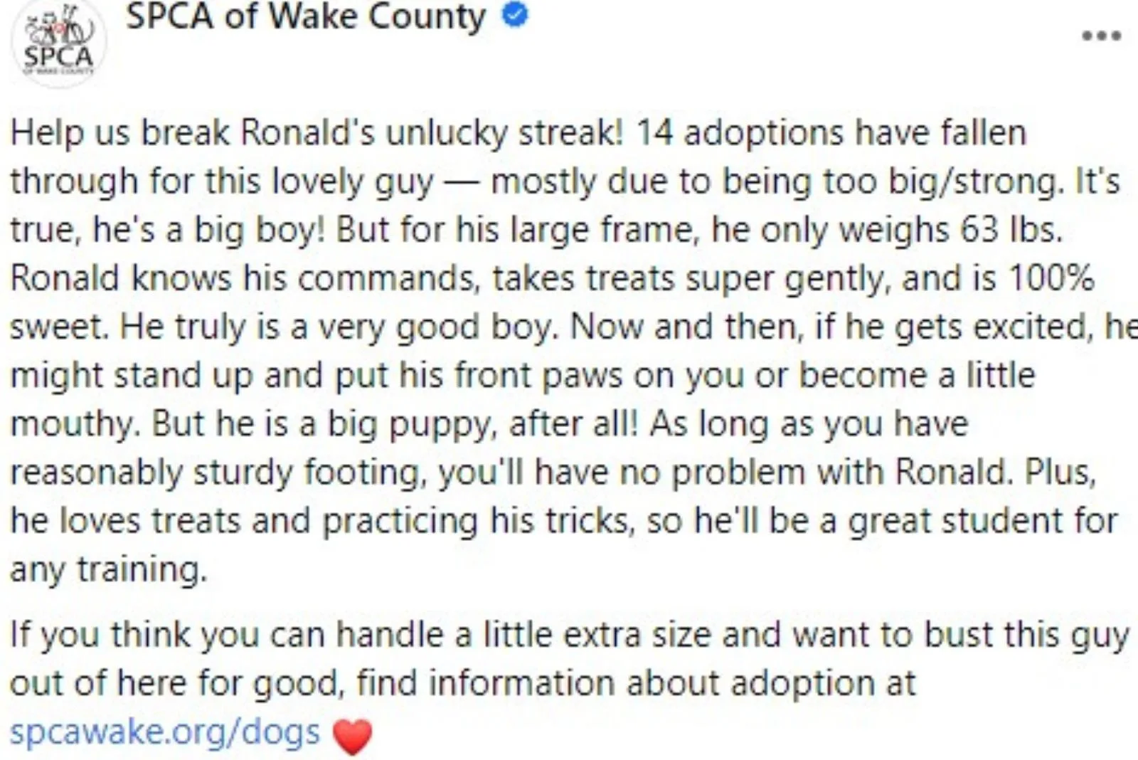 post about dog's adoption