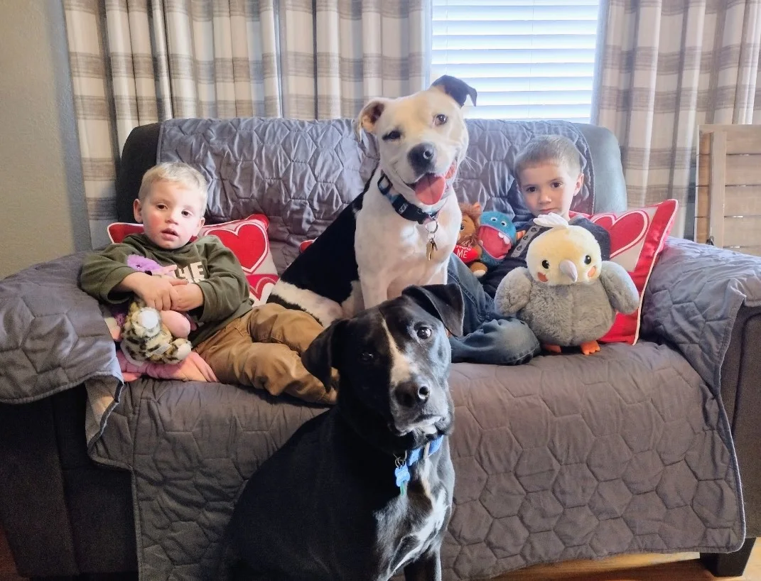 los niños están sentados en el sofá con los perros