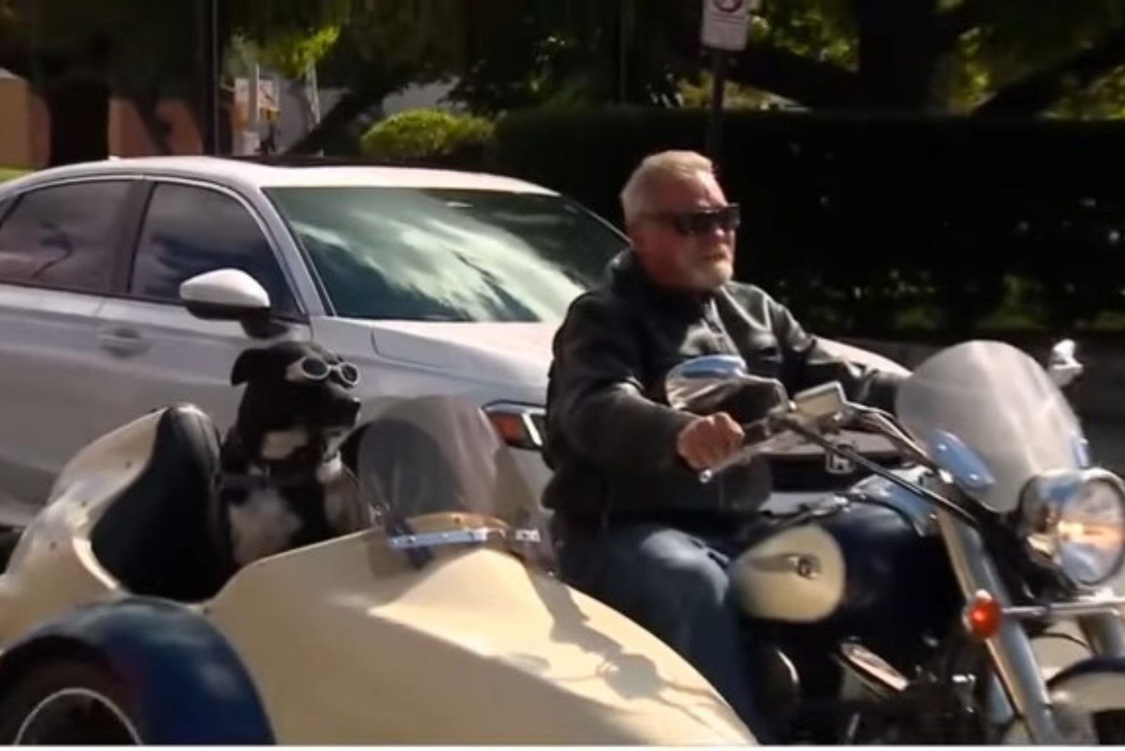the dog rides in the Motorcycle Sidecar with its owner