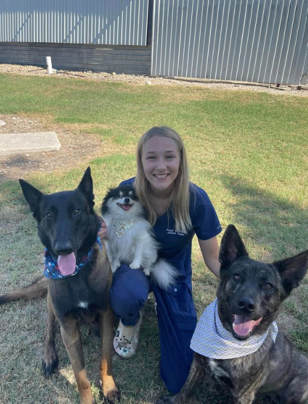 the veterinarian takes a picture in the garden with the dogs