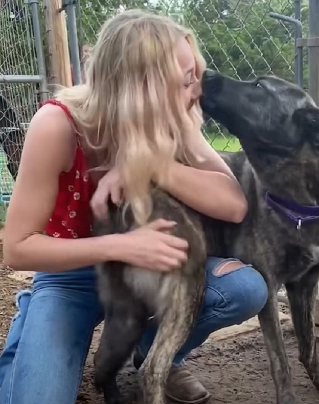 the woman came back for her dog and he kisses her