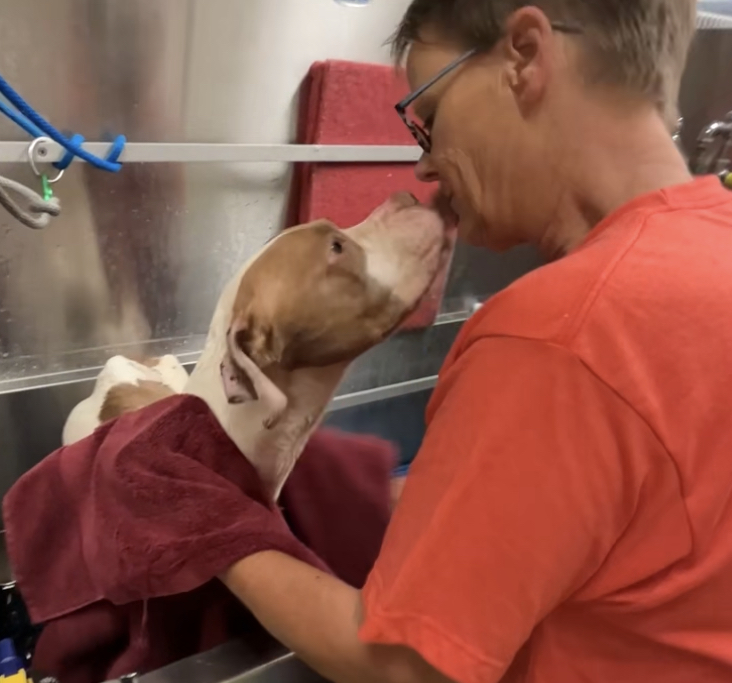 woman and a dog looking at each other