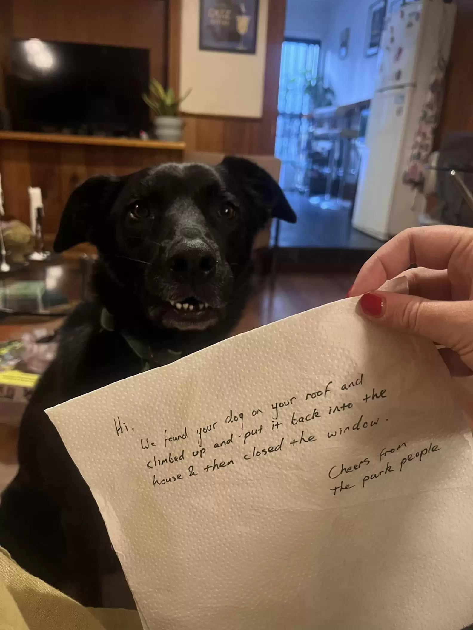Mujer sosteniendo una carta mientras el perro la mira.