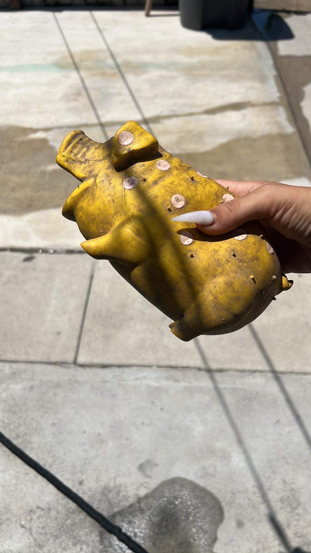 woman holding yellow toy for dog