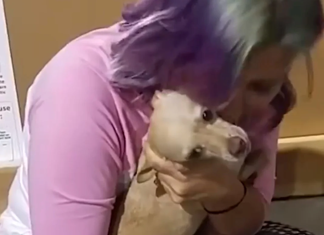 woman kissing dog