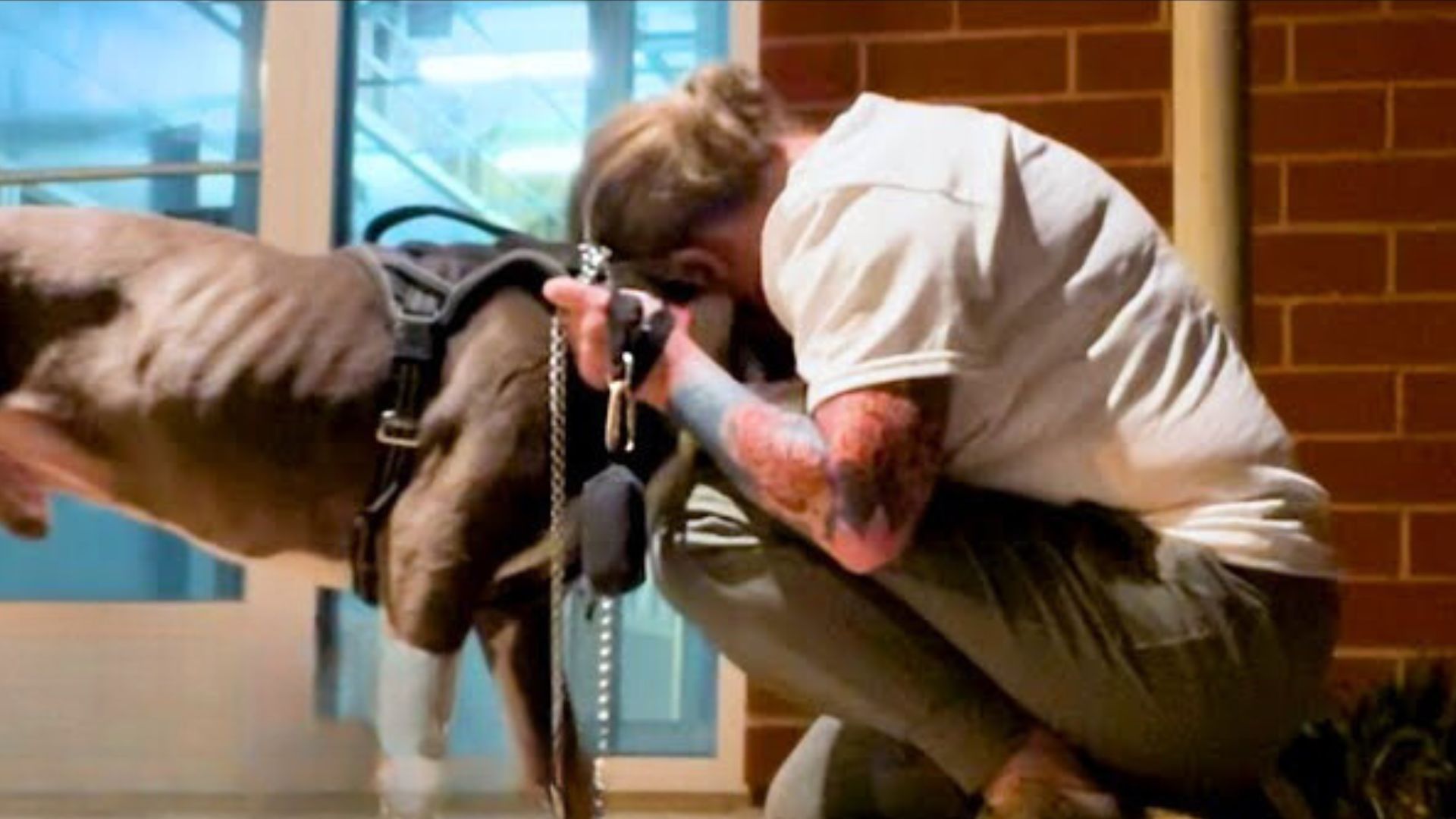 man and a dog hugging