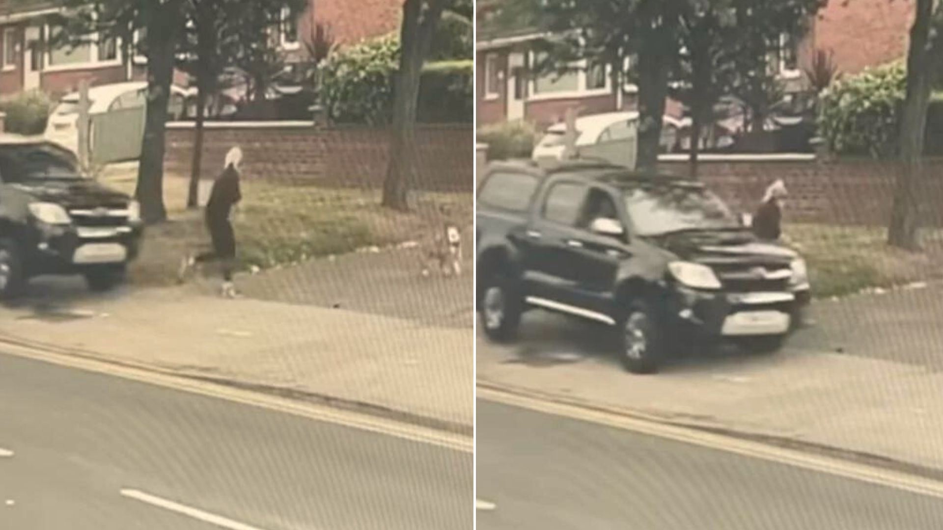 dog and a woman next to a speeding car