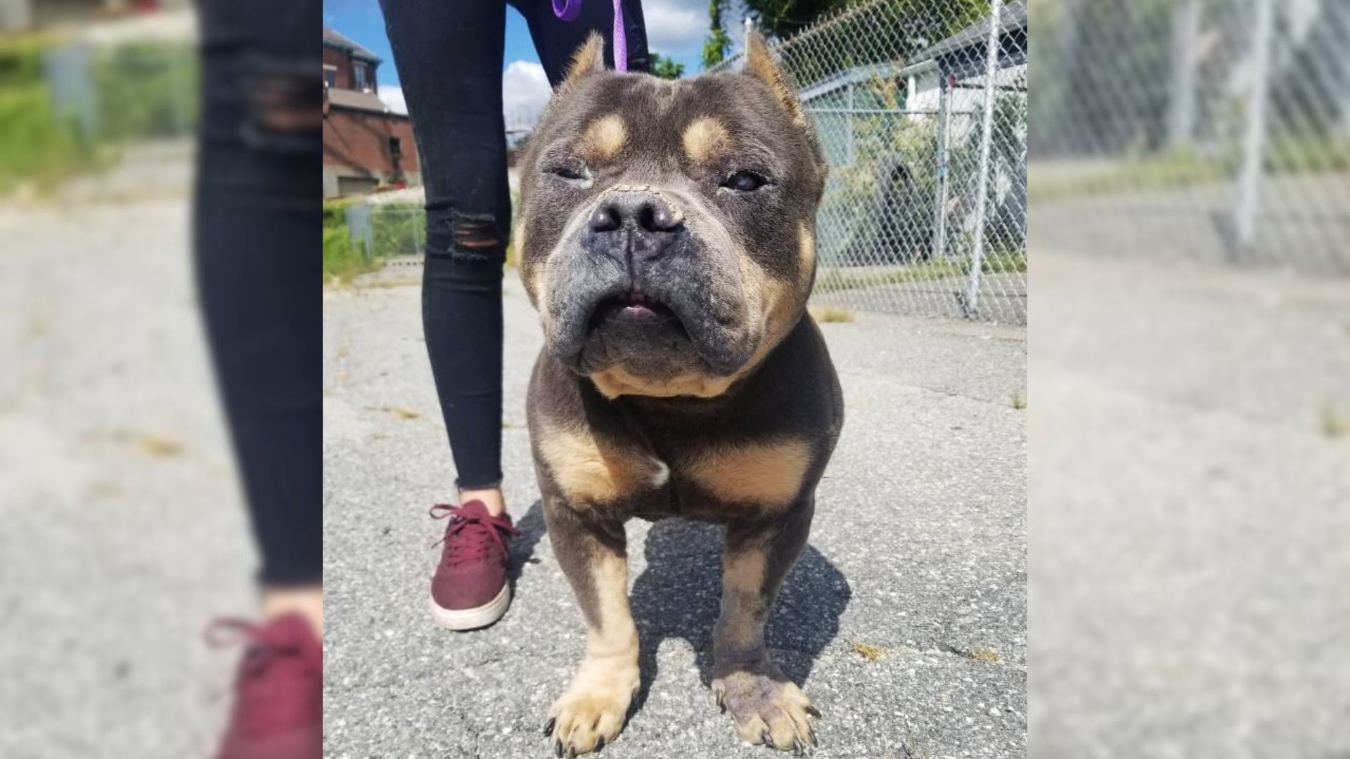 A Loving Family Adopted A Pup