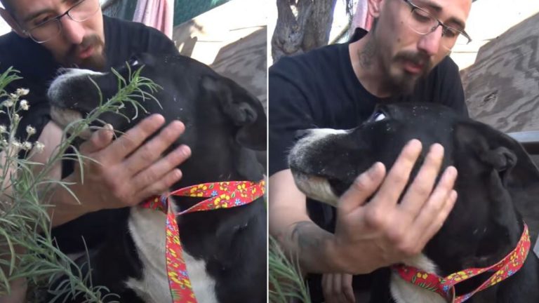 photo of man and a dog