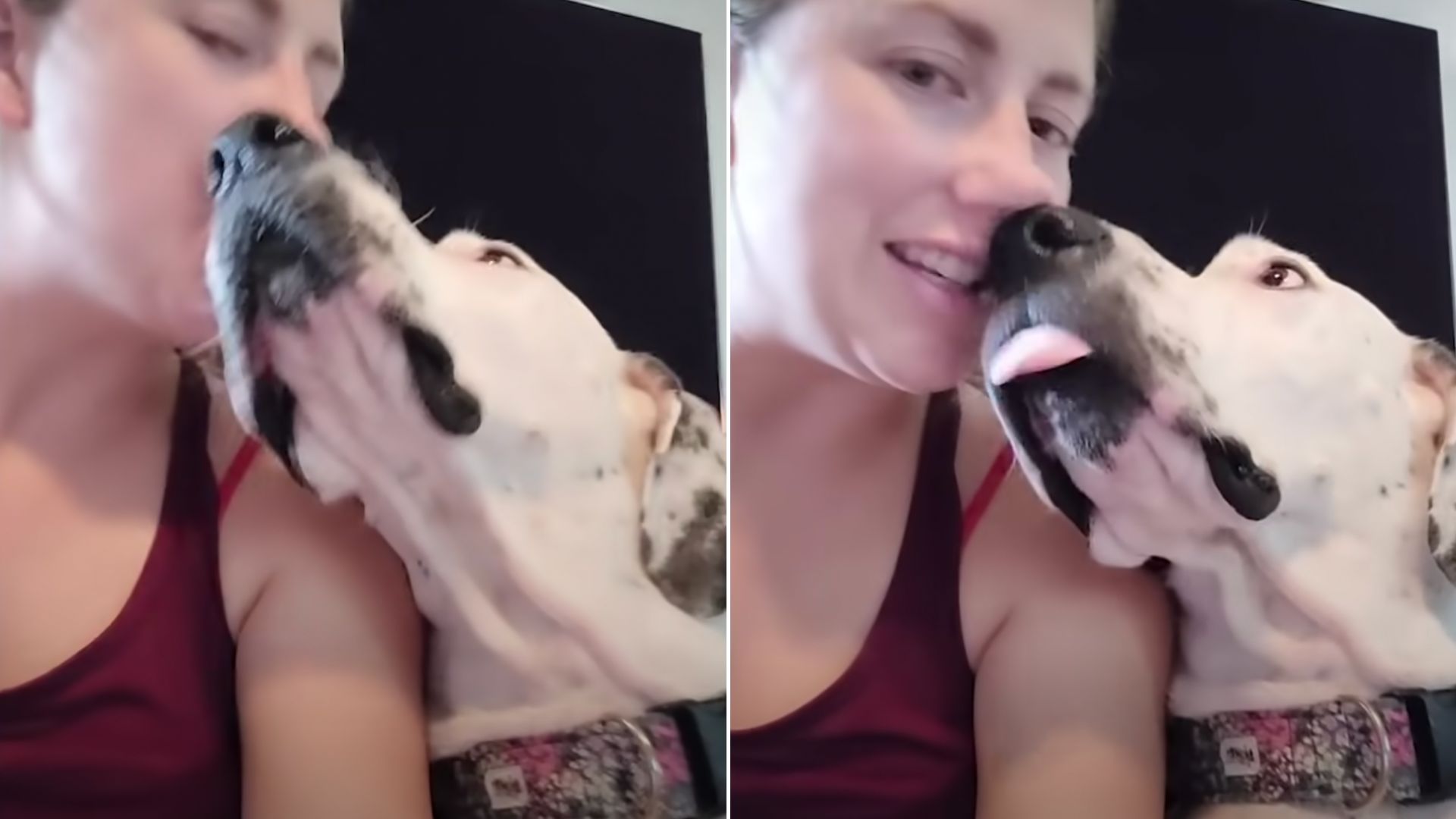 girl and her white dog