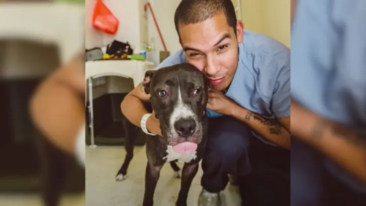 Dog Is So Excited To See His Old Friend, A Prisoner Who Saved His Life