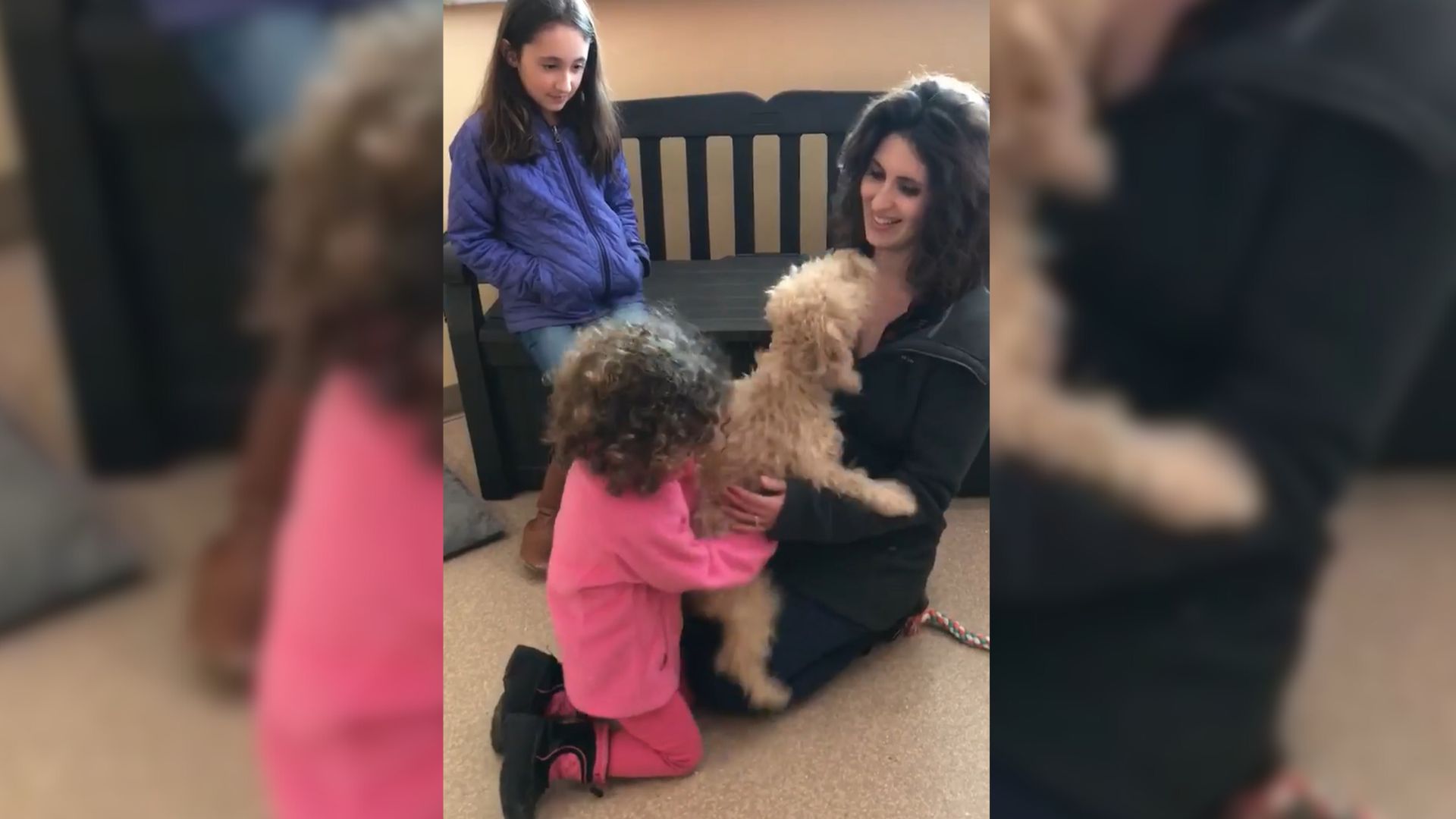 Missing Dog Reunites With Her Family After 19 Long Months