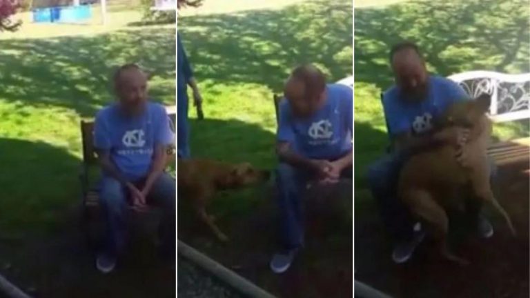 dog and guy playing outside