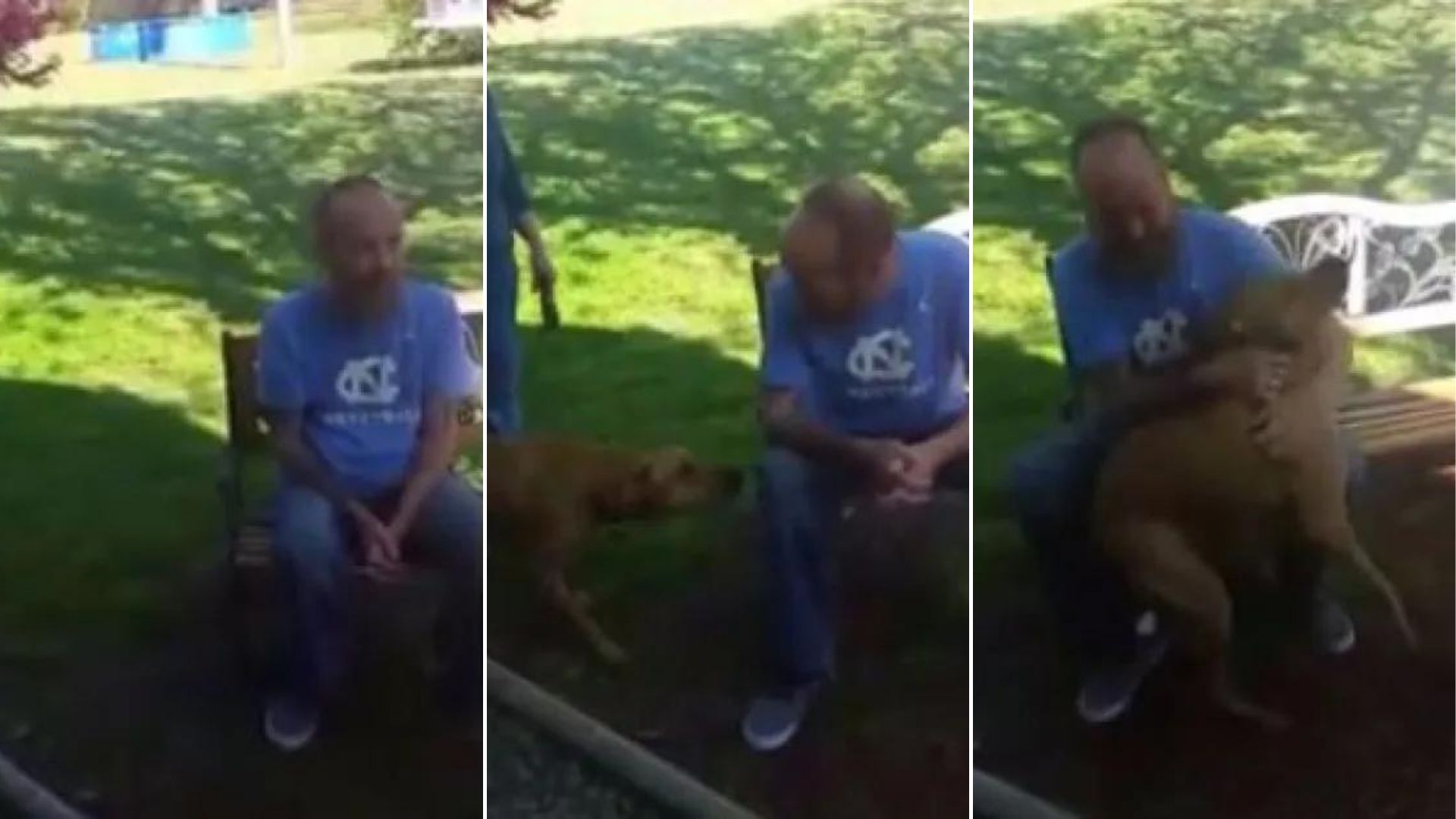 dog and guy playing outside