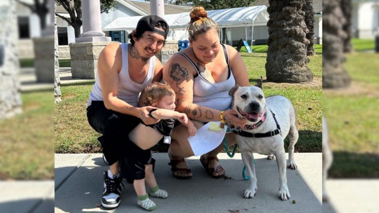 dog and its family