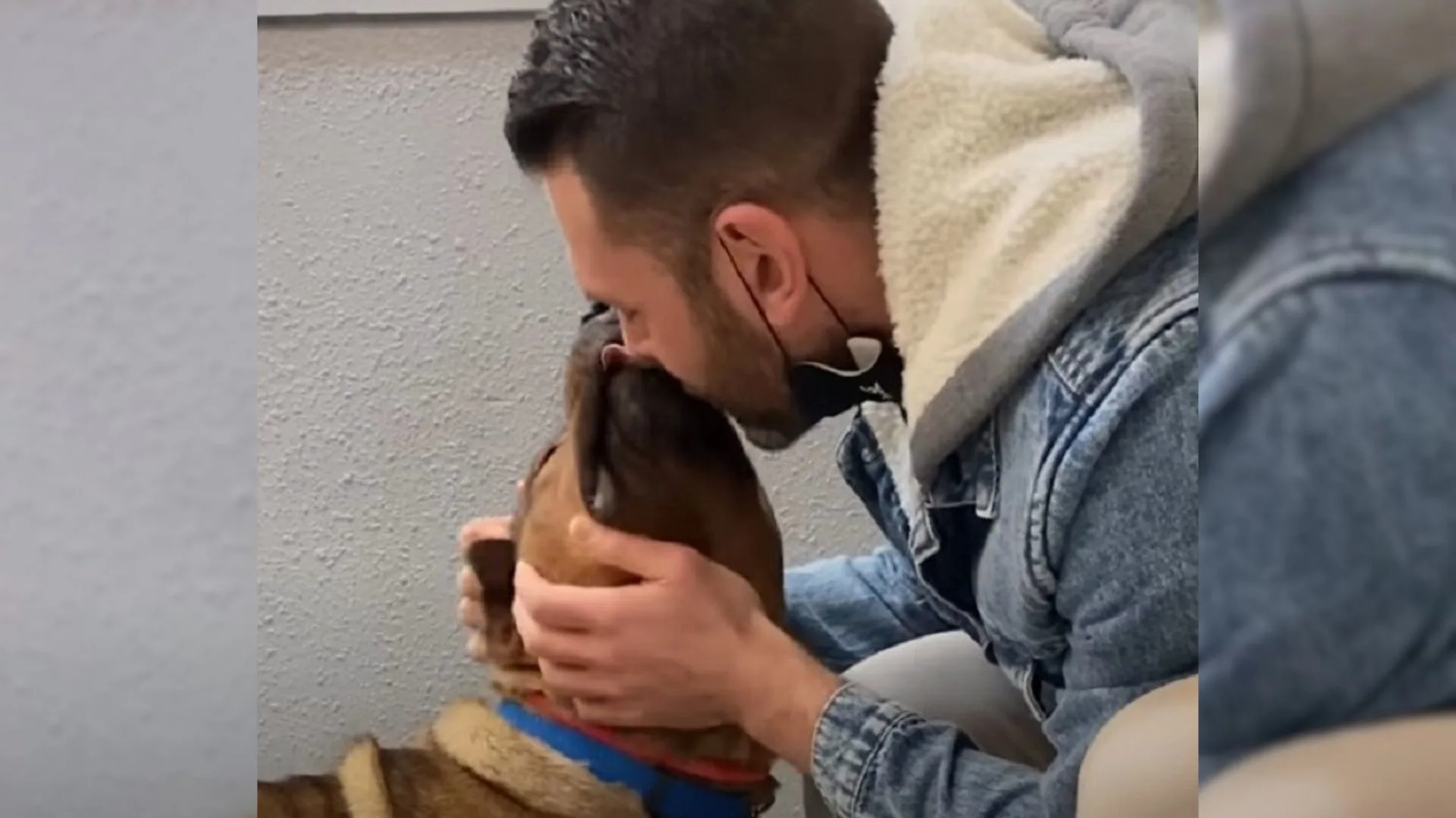 Guy Decides To Foster A Sweet Surrendered Dog After Reading His Owners’ Surprising Note