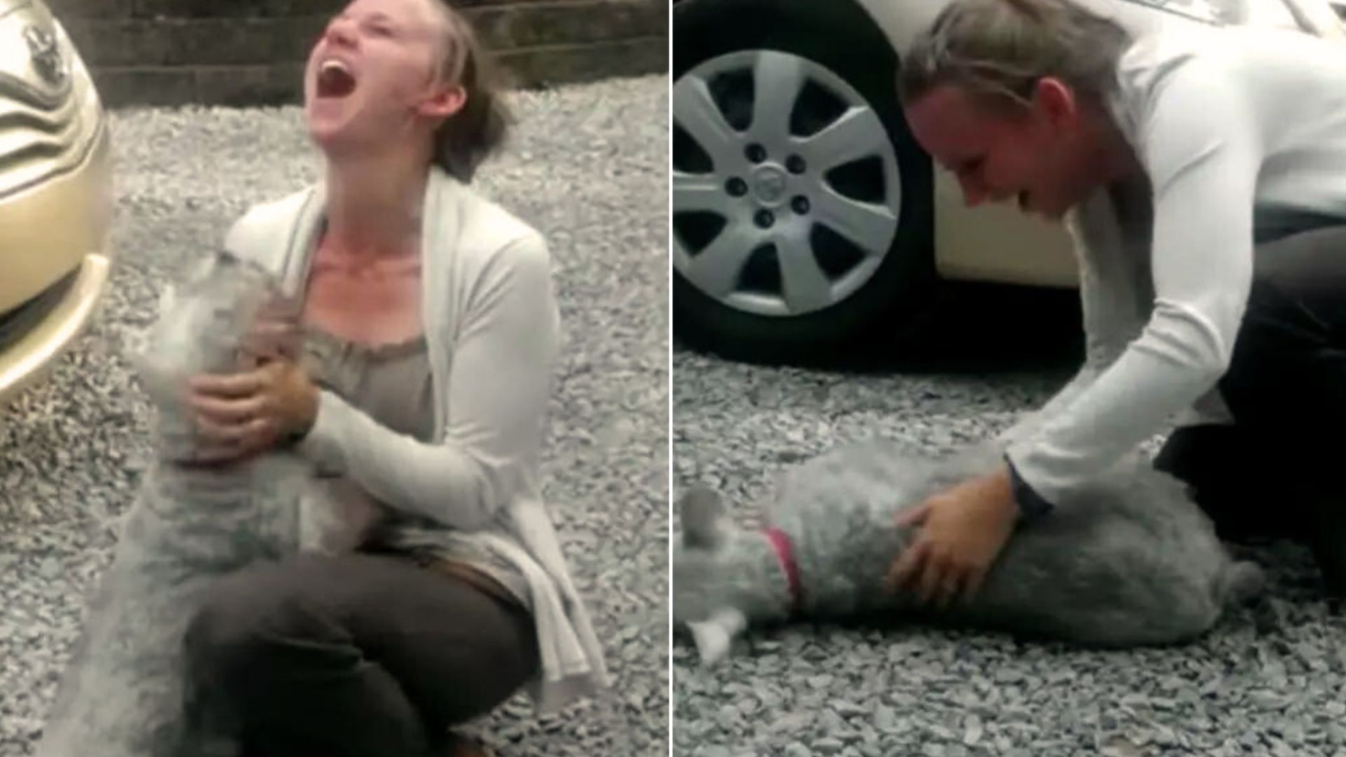 woman holding a small dog and screaming