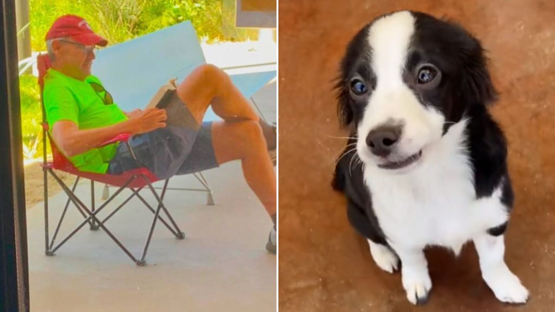 Man Who Fell In Love With A Pup Camps Out At The Shelter