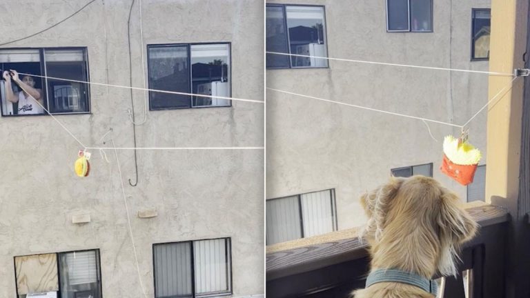 man sending treats to dog