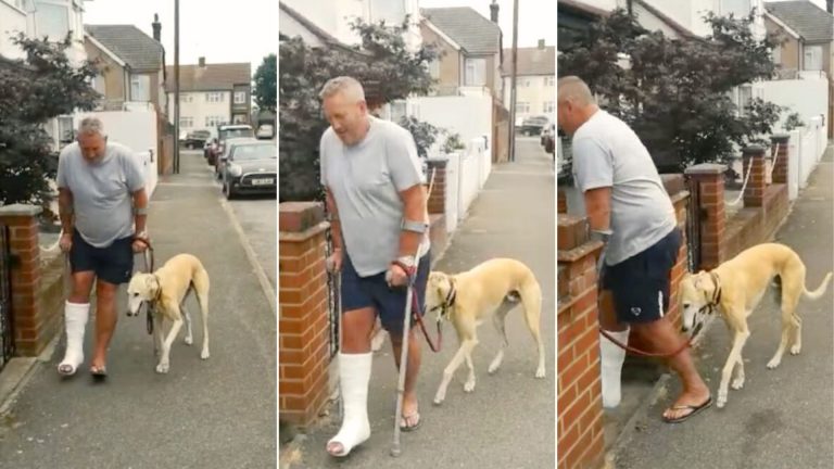 Owner Spent A Lot Of Money Treating His Dog’s
