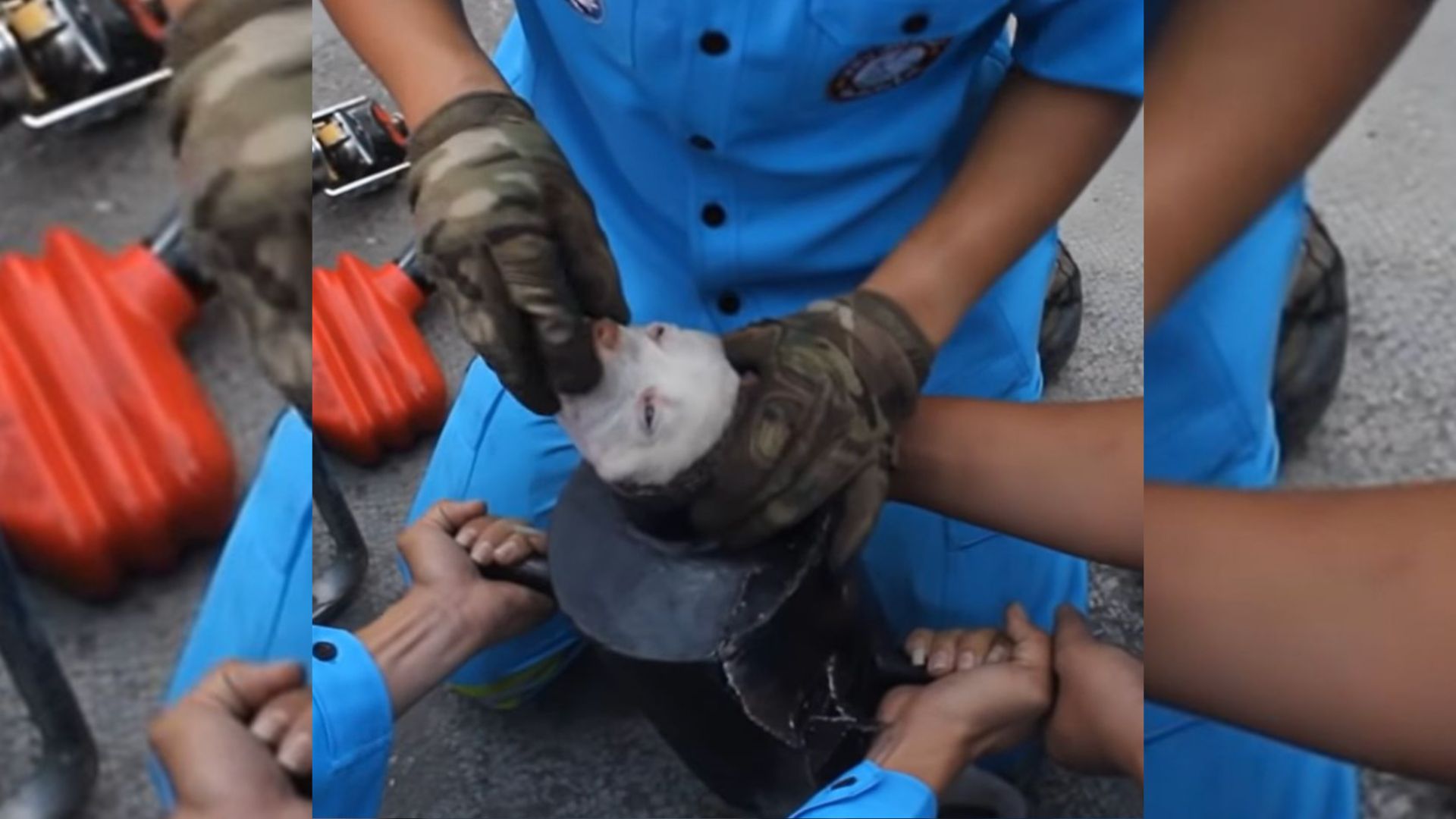 people helping dog stuck in exhaust pipe