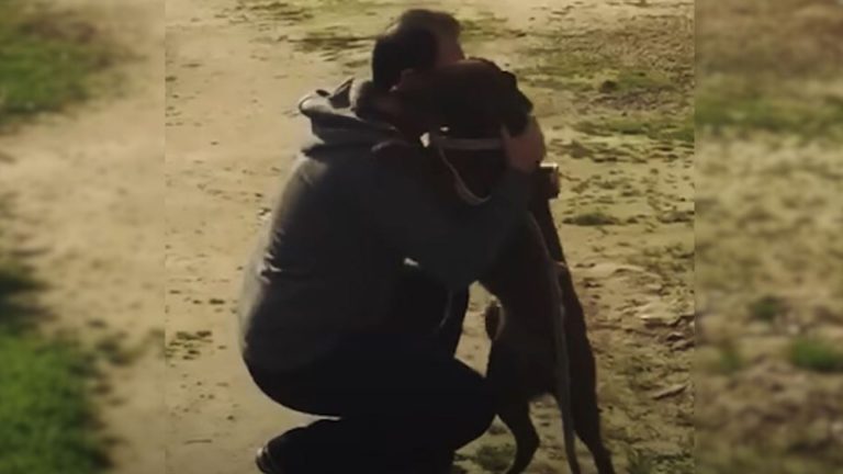 man hugging the dog