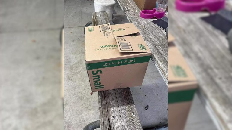 box on a bench
