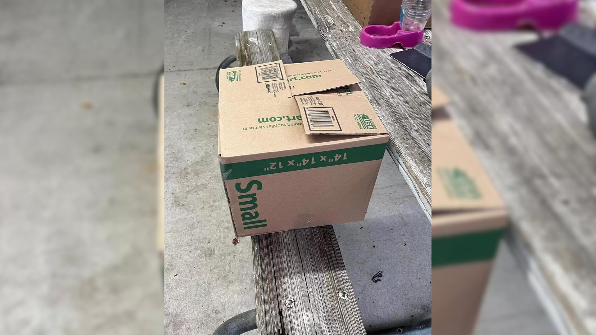 Shelter Workers Saw A Box Next To The Shelter And Then Heard Someone Crying Inside