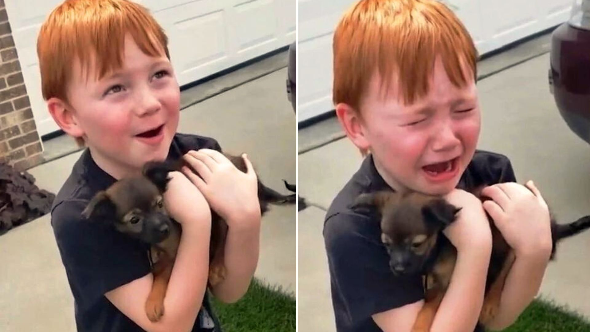 boy crying when he got a puppy