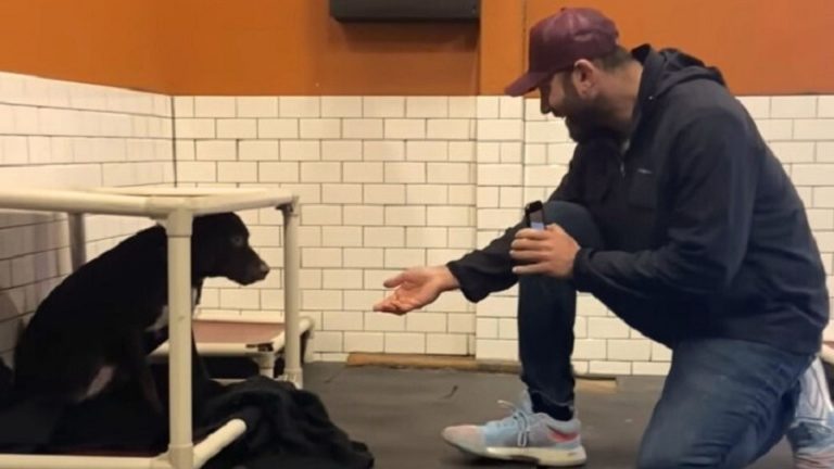 guy and black dog