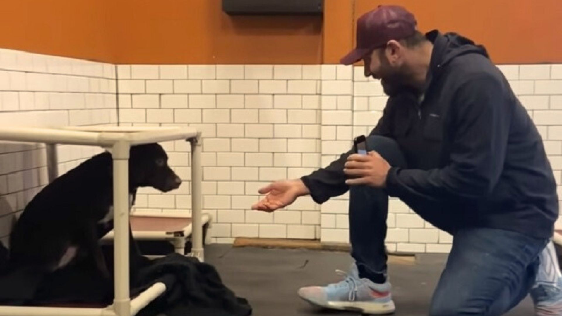guy and black dog