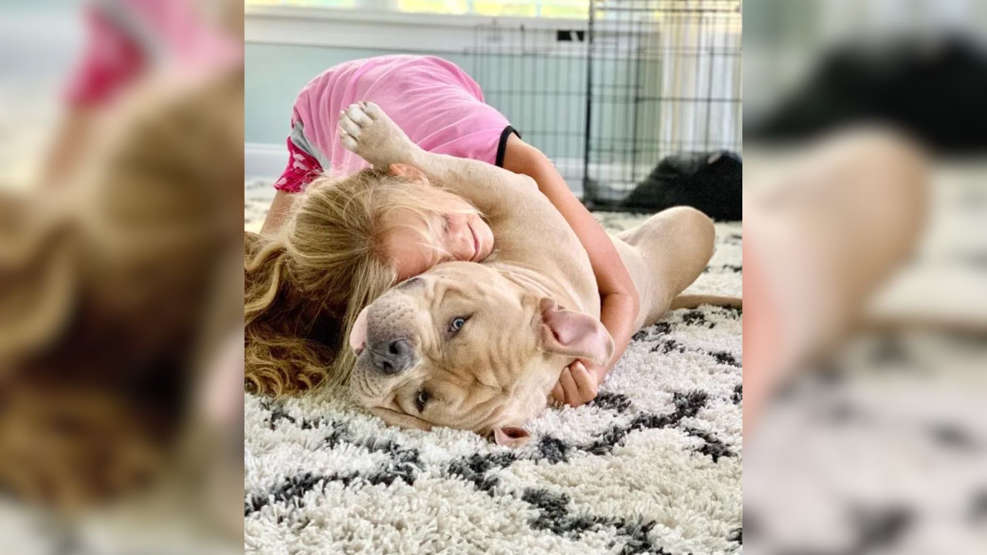 Woman Adopted A ‘Perfect Dog’ Only To Be Shocked By His Secret