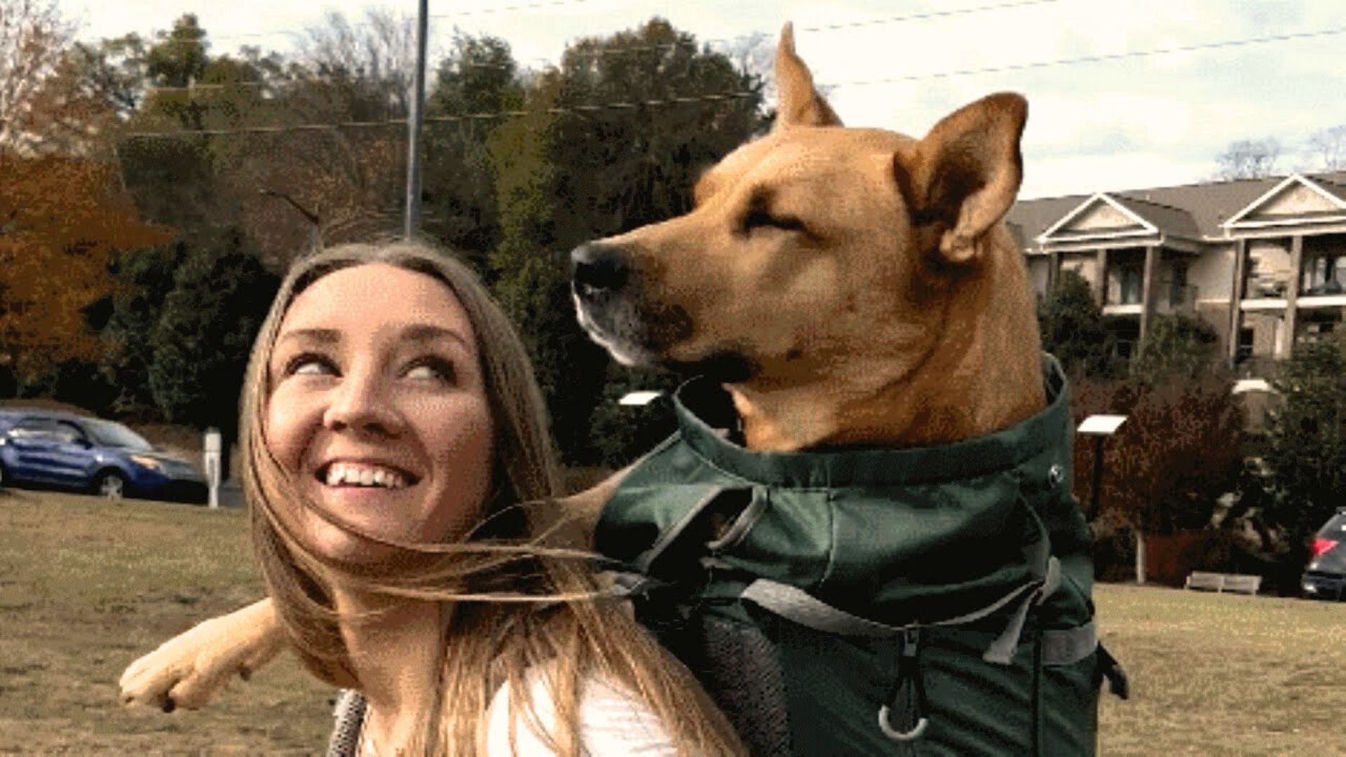 woman carrying dog on her back