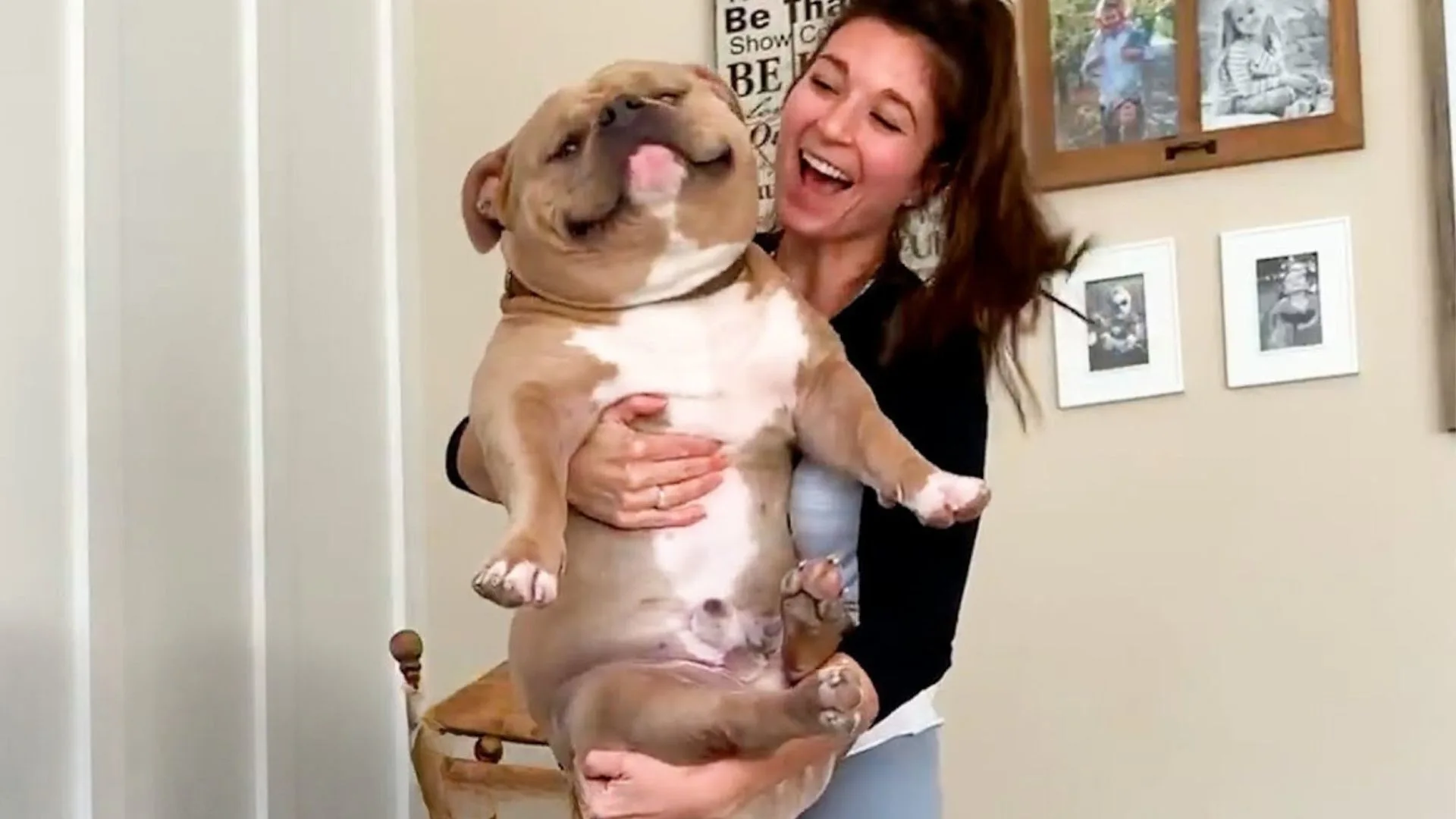 Woman Adopts ‘The Perfect Dog,’ Then Learns He Hides A Heartbreaking Secret