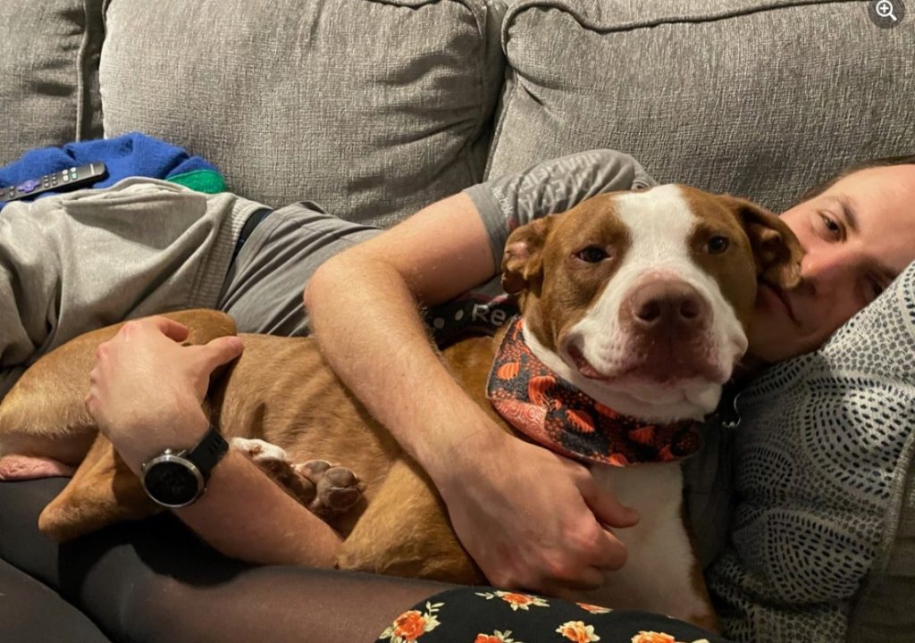 a man and a pit bull are lying on the couch in each other's arms