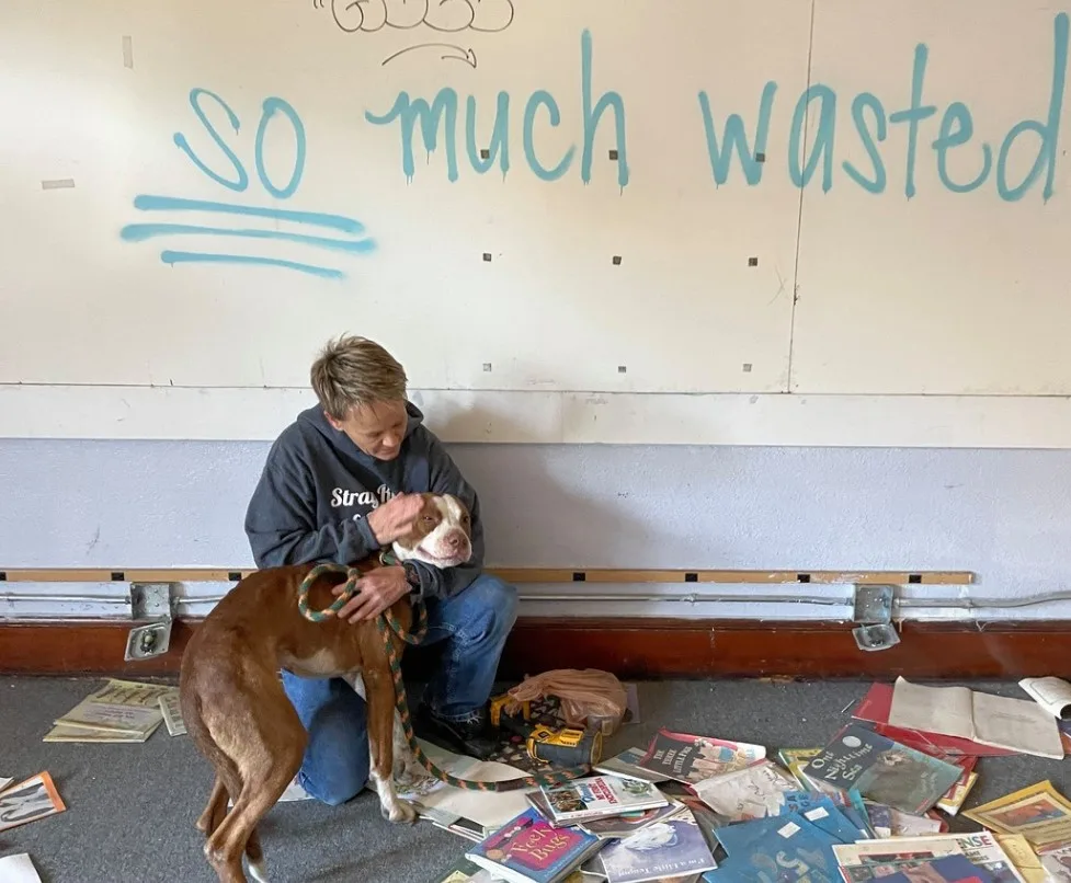 a man finds an abandoned pit bull at school