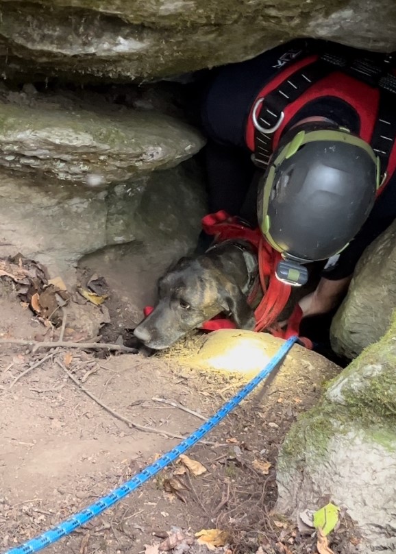 a man rescued a dog from a cave