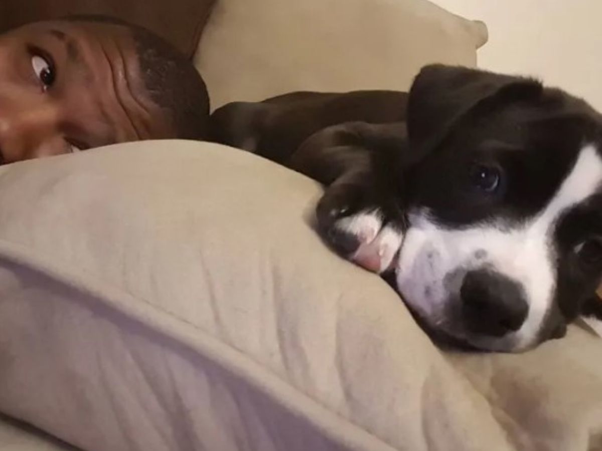 a man takes a picture with his dog while lying on a pillow