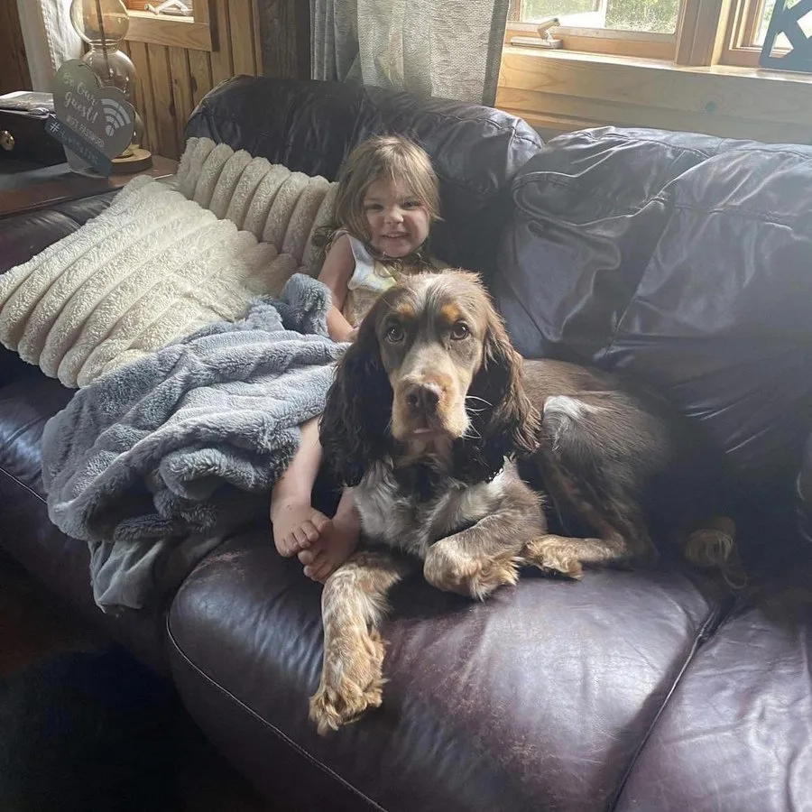 adorable niña con perro en el sofá