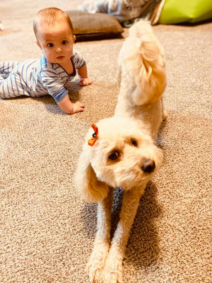 baby and dog