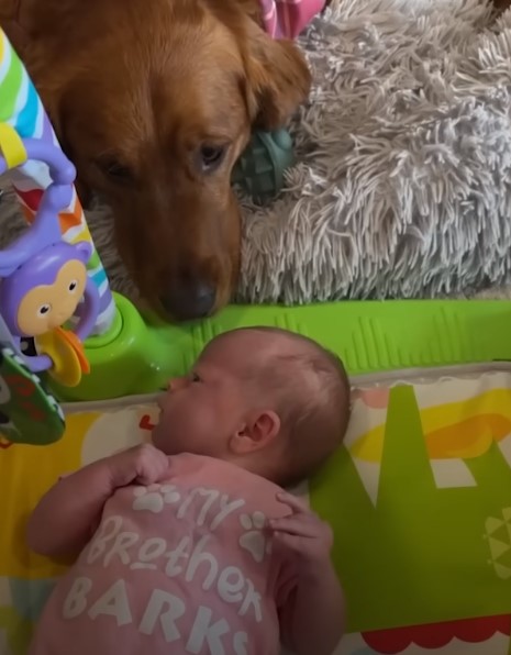 baby and the dog on the floor
