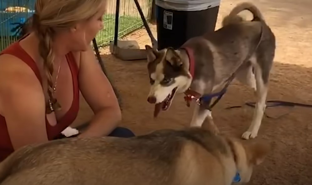 blonde woman and her dog on the leash