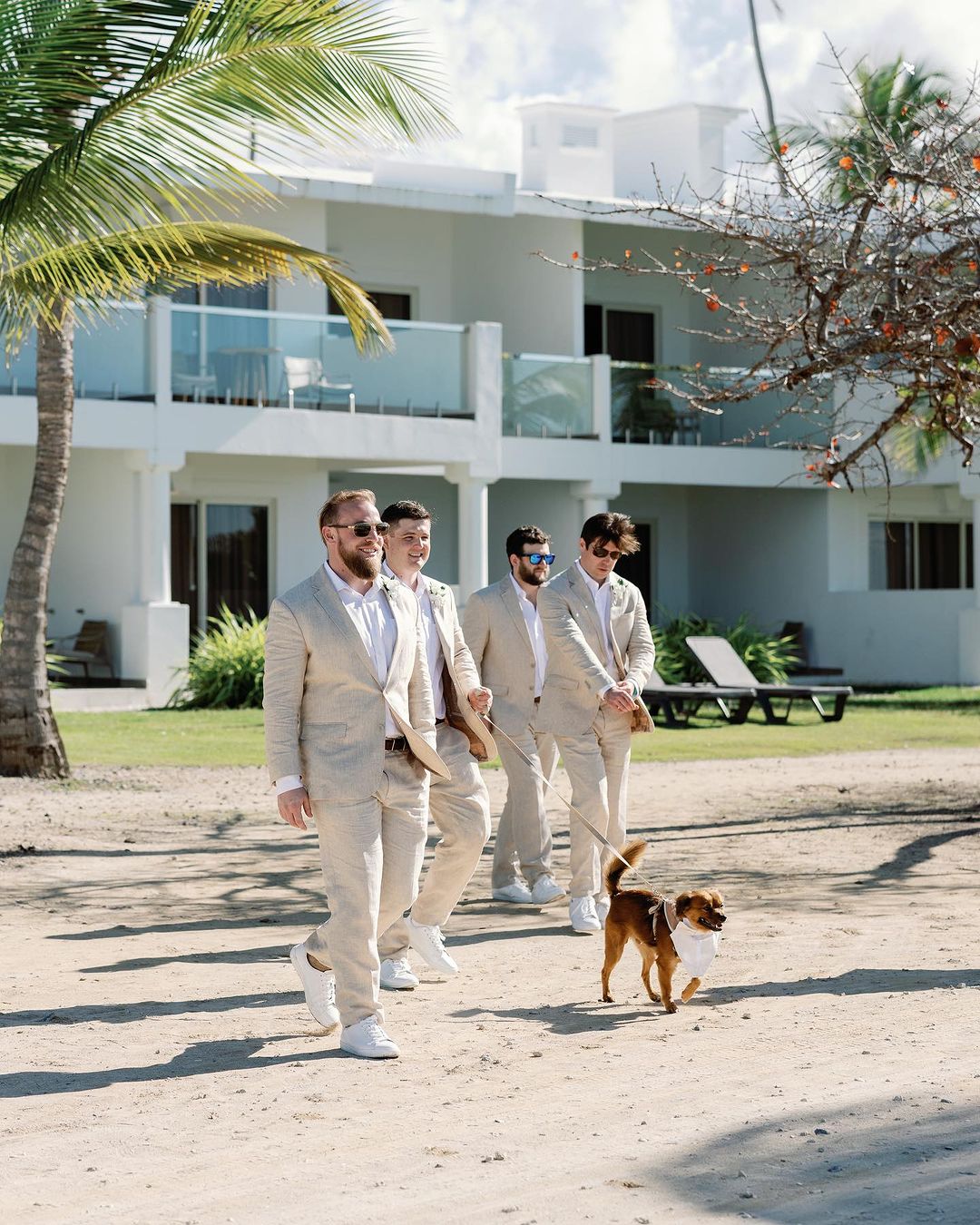 dog and four guys in a suits