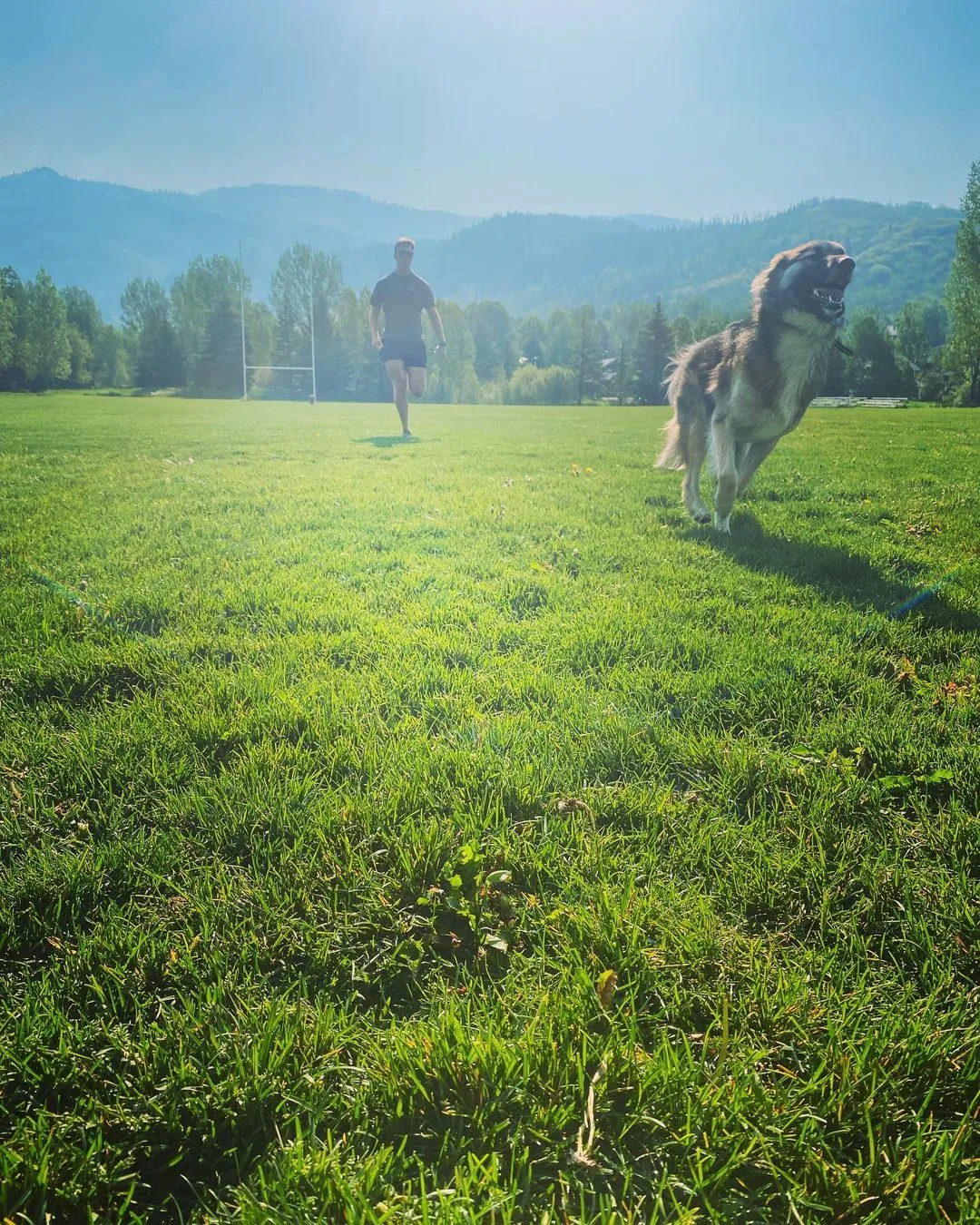 dog and guy running