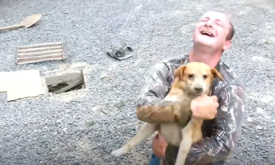 dog and his happy owner