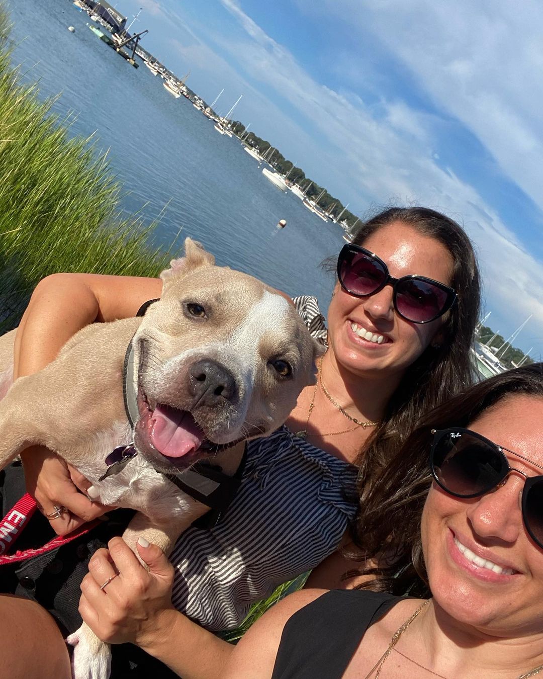 dog and two girls near water